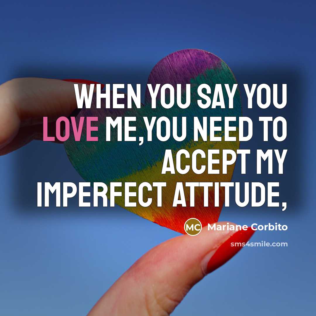 “When you say You love me,you need to accept my…” quote by Mariane Corbito