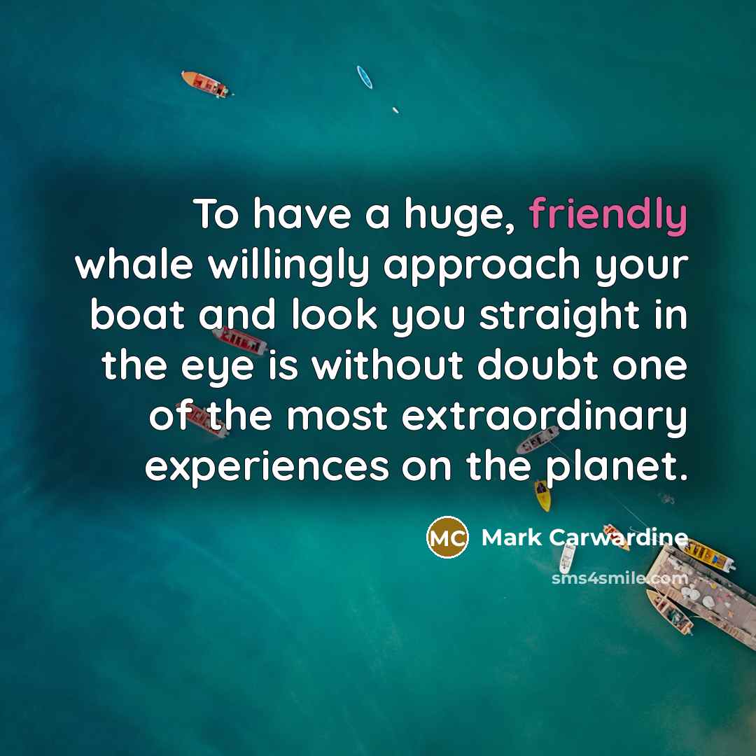 “To have a huge, friendly whale willingly approach your boat…” quote by Mark Carwardine
