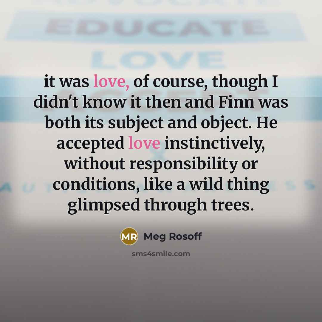 “it was love, of course, though I didn't know it…” quote by Meg Rosoff