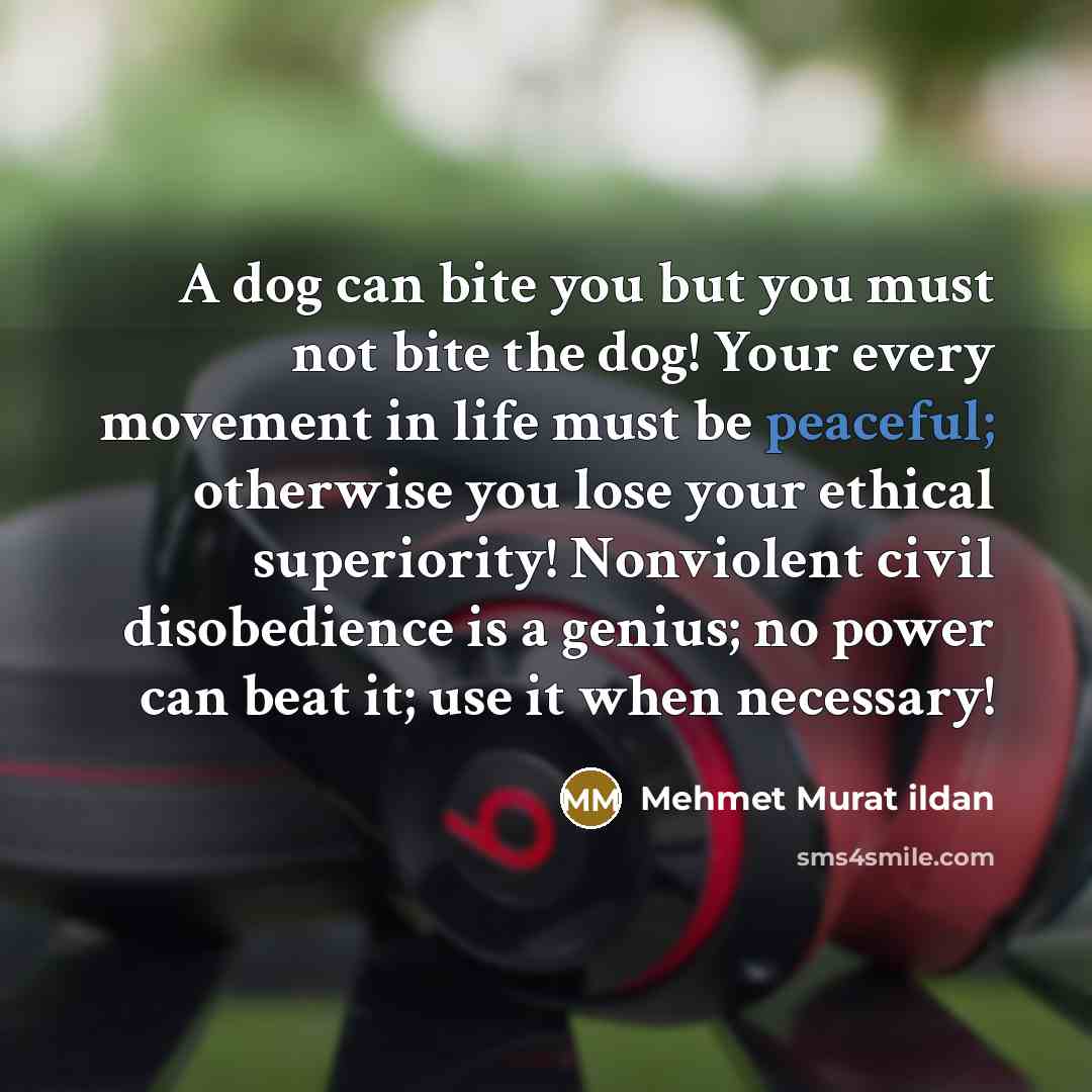 “A dog can bite you but you must not bite…” quote by Mehmet Murat Ildan