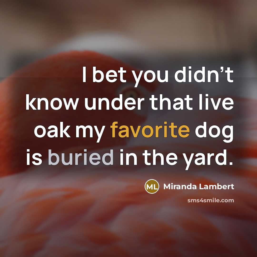 “I bet you didn't know under that live oak my favorite dog is buried in the yard.” quote by Miranda Lambert
