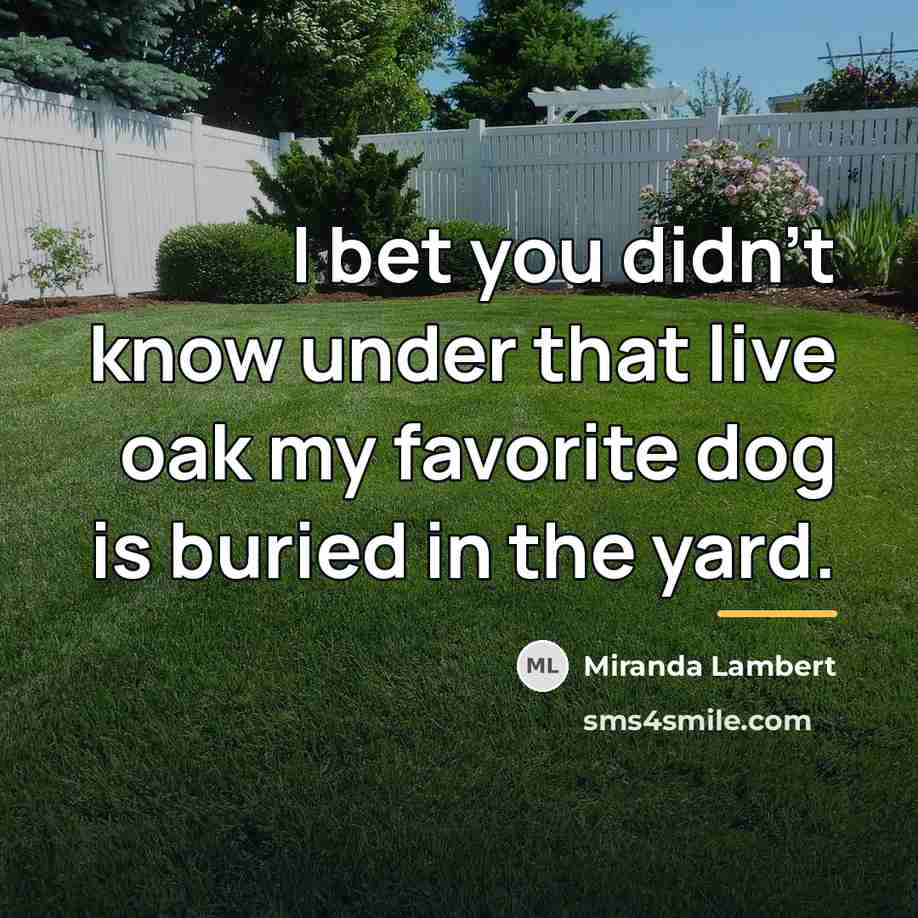 “I bet you didn't know under that live oak my…” quote by Miranda Lambert