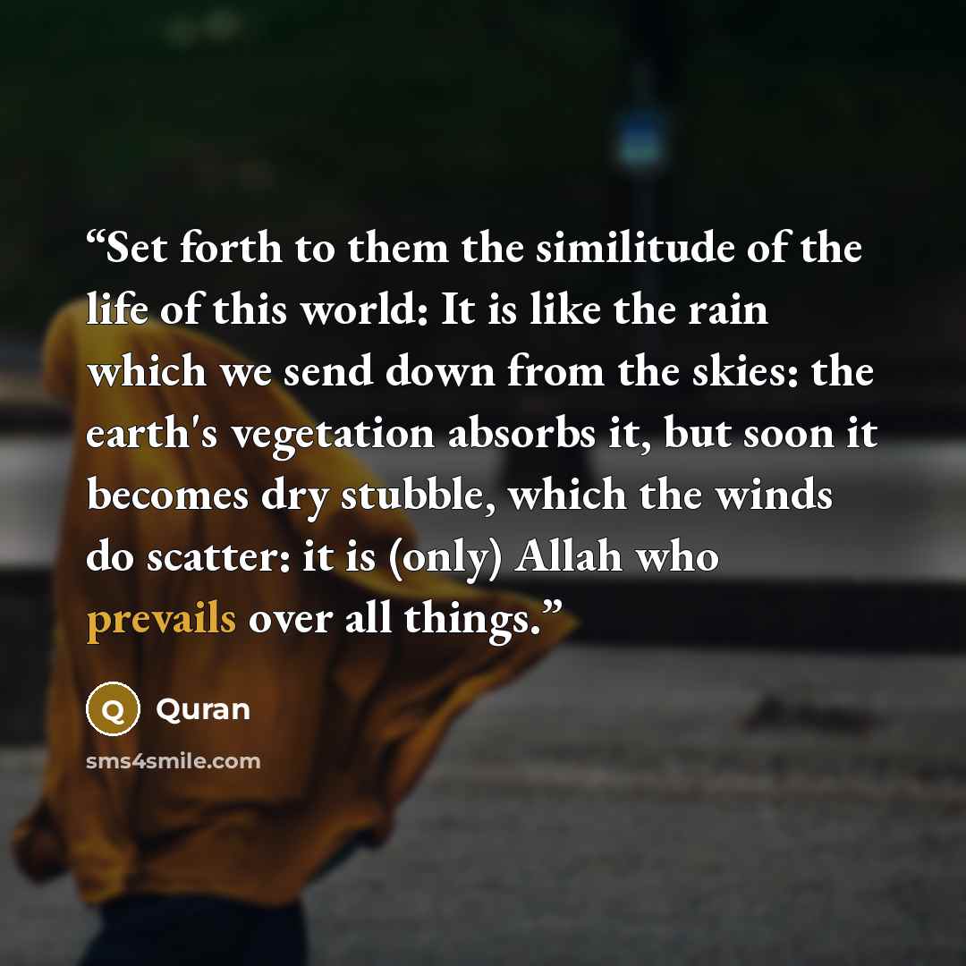 “Set forth to them the similitude of the life of this world: It is like the rain which we send down from the skies: the earth's vegetation absorbs it, but soon it becomes dry stubble, which the winds do scatter: it is (only) Allah who prevails over all things.” quote by Quran