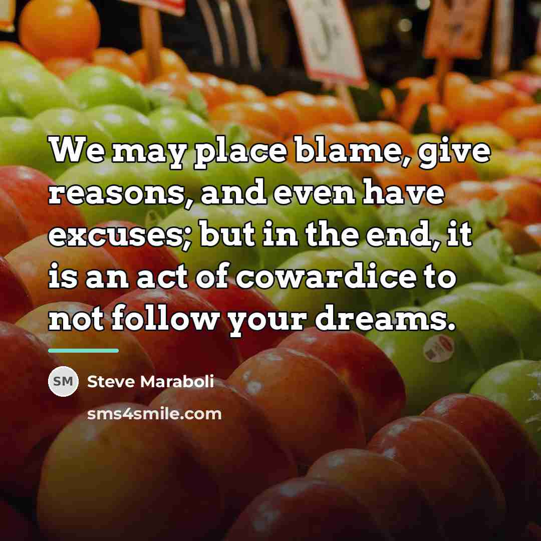 “We may place blame, give reasons, and even have excuses;…” quote by Steve Maraboli