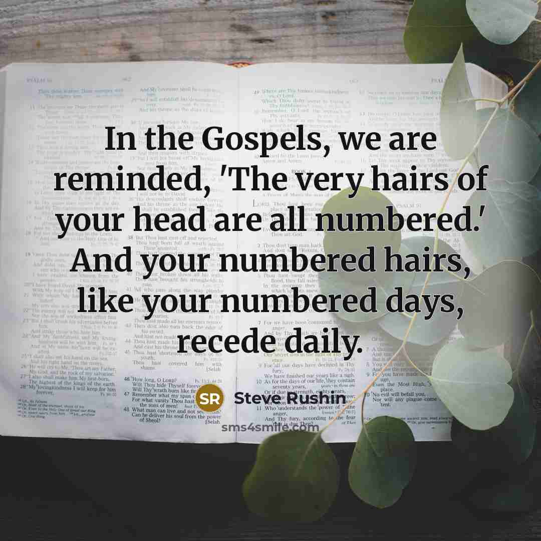 “In the Gospels, we are reminded, 'The very hairs of…” quote by Steve Rushin