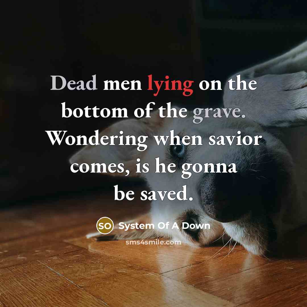 “Dead men lying on the bottom of the grave. Wondering when savior comes, is he gonna be saved.” quote by System Of A Down
