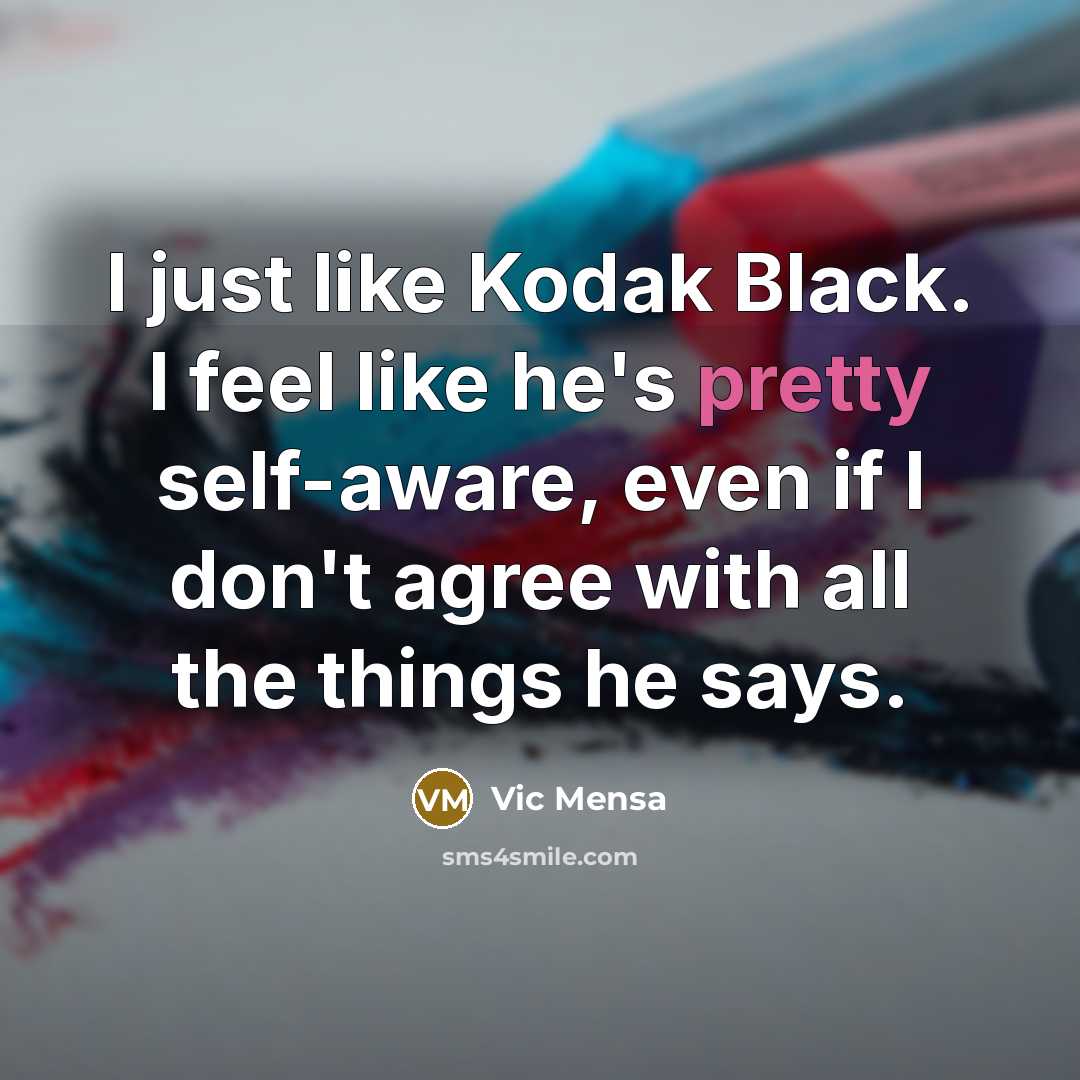 “I just like Kodak Black. I feel like he's pretty…” quote by Vic Mensa