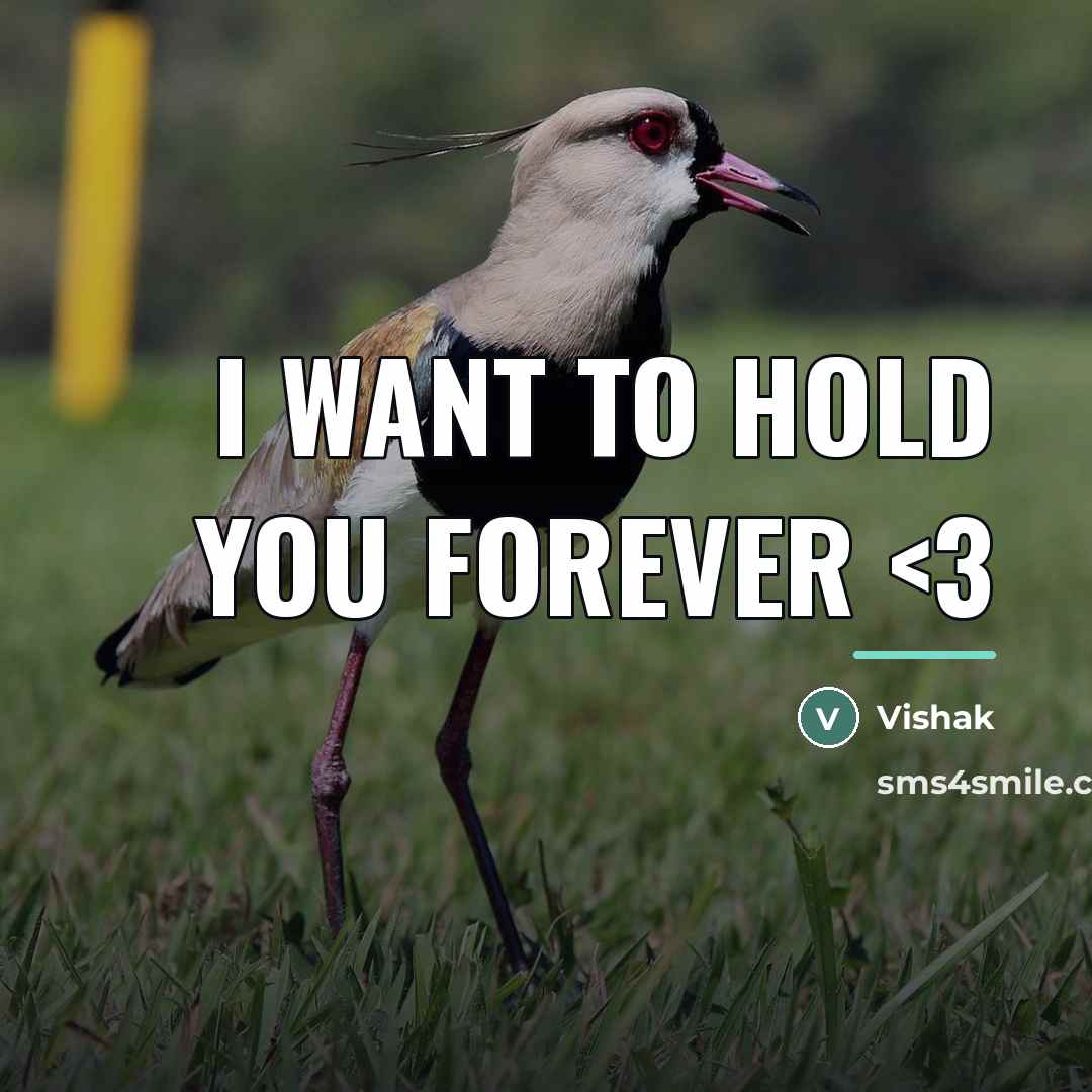 “I want to hold you forever…” quote by Vishak
