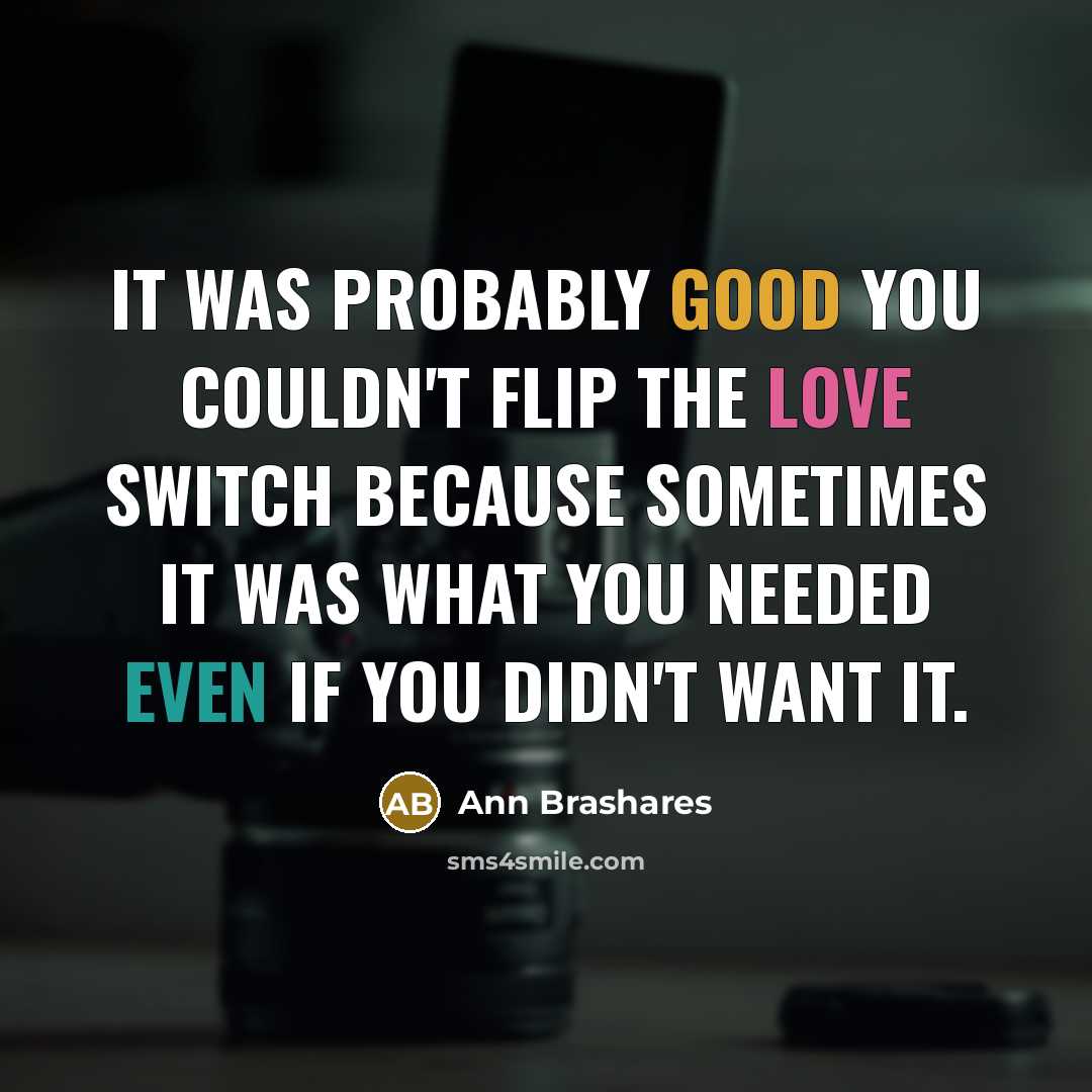 “It was probably good you couldn't flip the love switch…” quote by Ann Brashares