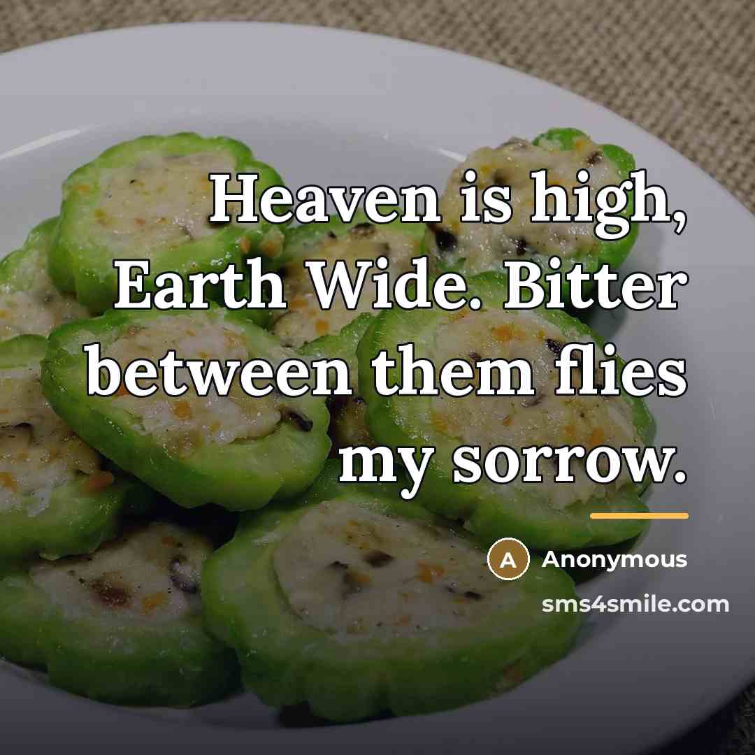 “Heaven is high, Earth Wide. Bitter between them flies my…” quote by Anonymous