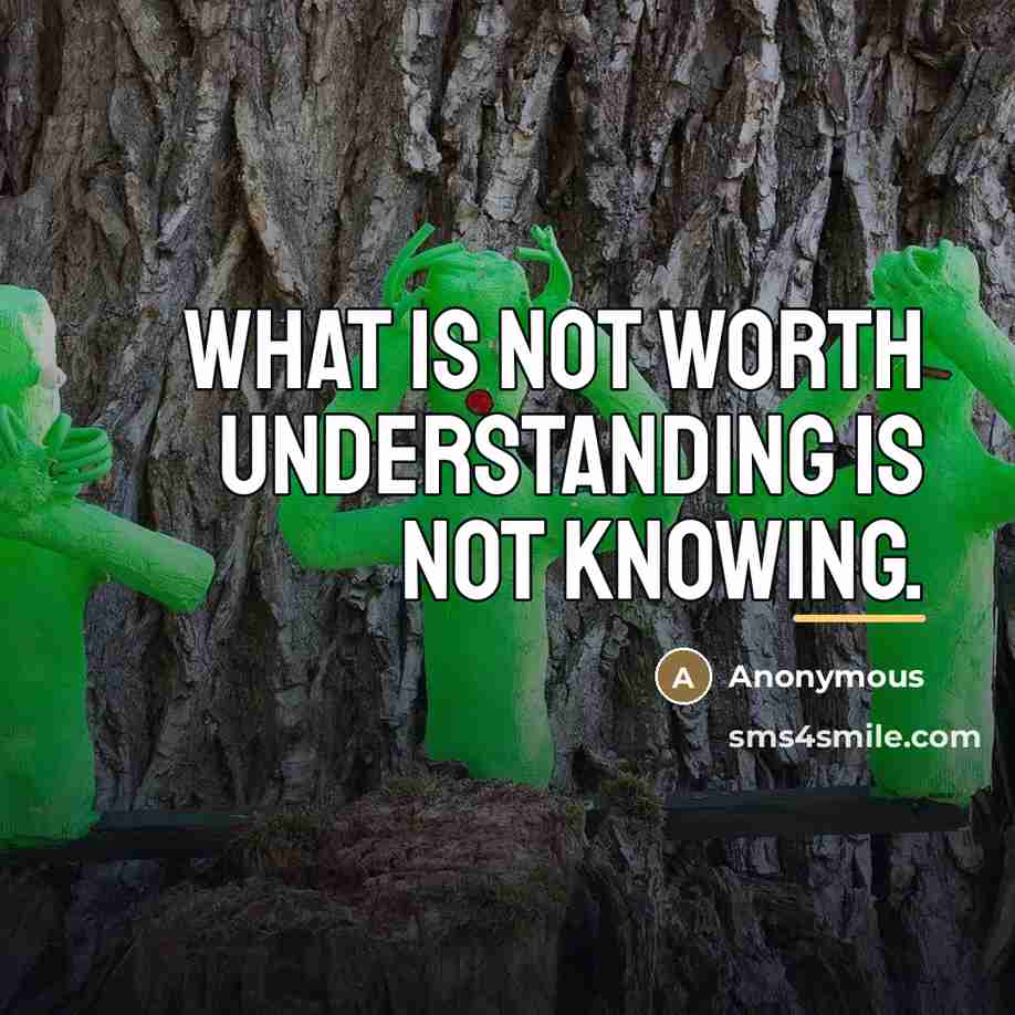 “What is not worth understanding is not knowing.…” quote by Anonymous