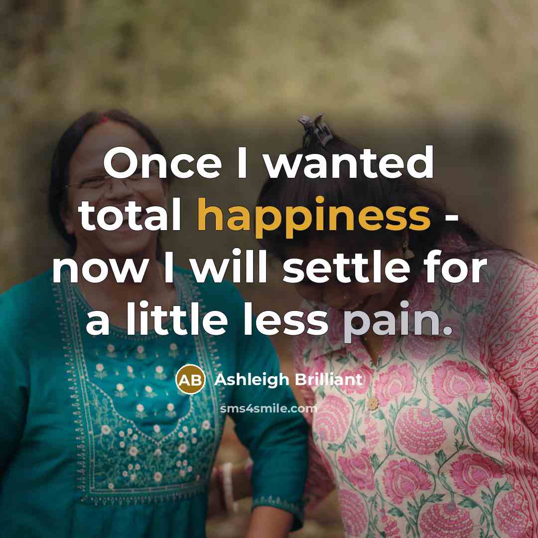 “Once I wanted total happiness - now I will settle…” quote by Ashleigh Brilliant