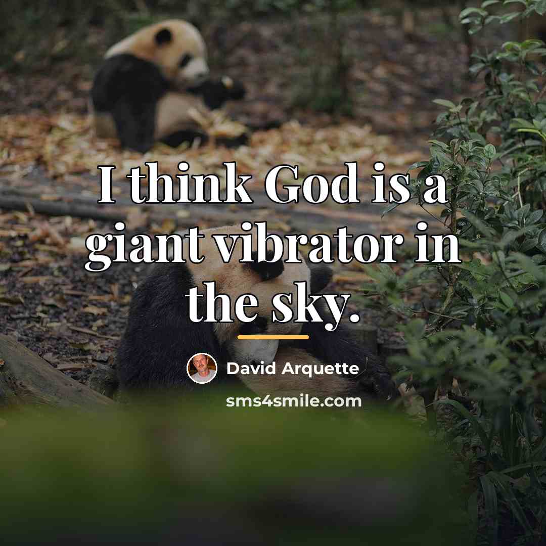 “I think God is a giant vibrator in the sky.…” quote by David Arquette