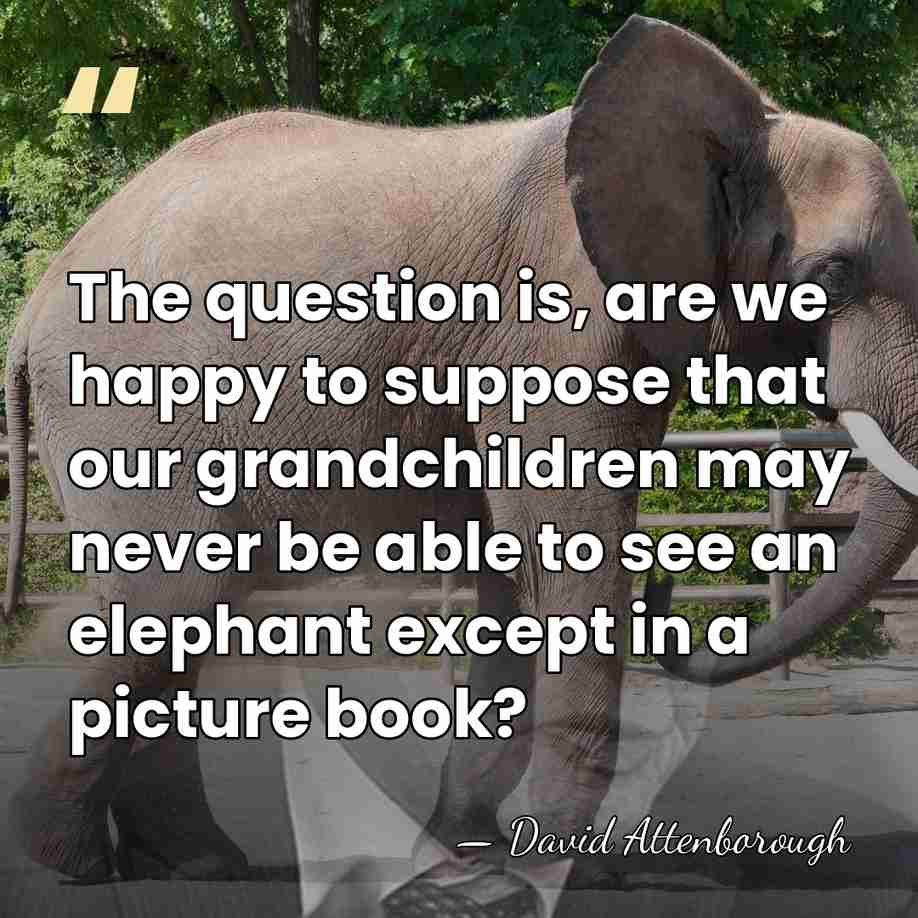 The question is, are we happy to suppose that our grandchildren may&hellip; - David Attenborough