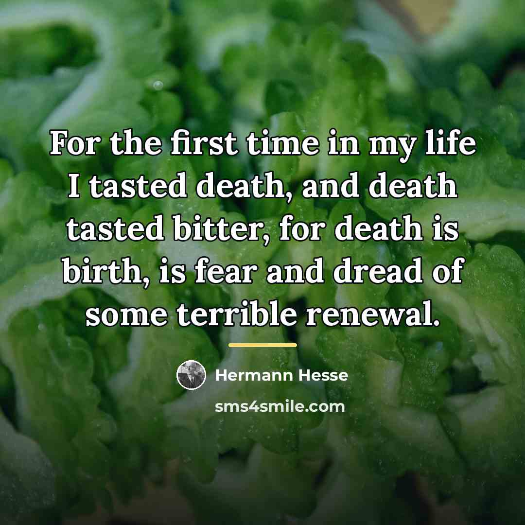 “For the first time in my life I tasted death,…” quote by Hermann Hesse