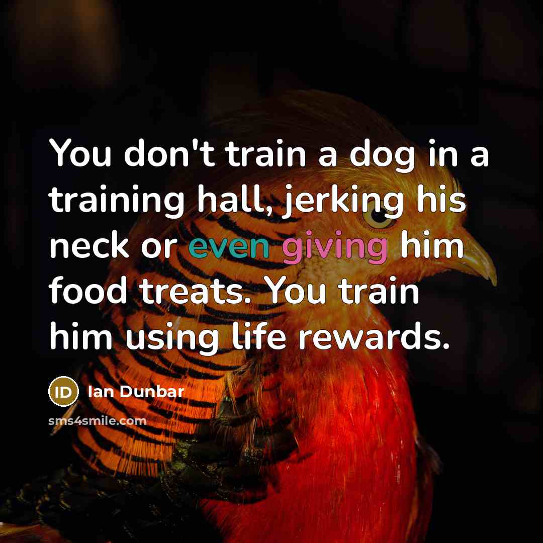 “You don't train a dog in a training hall, jerking his neck or even giving him food treats. You train him using life rewards.” quote by Ian Dunbar
