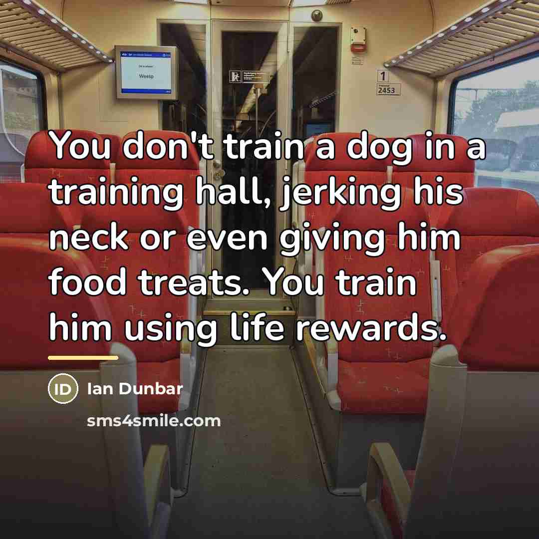 “You don't train a dog in a training hall, jerking…” quote by Ian Dunbar