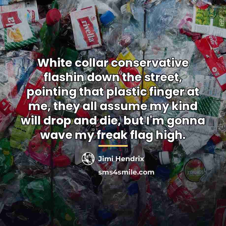 “White collar conservative flashin down the street, pointing that plastic…” quote by Jimi Hendrix