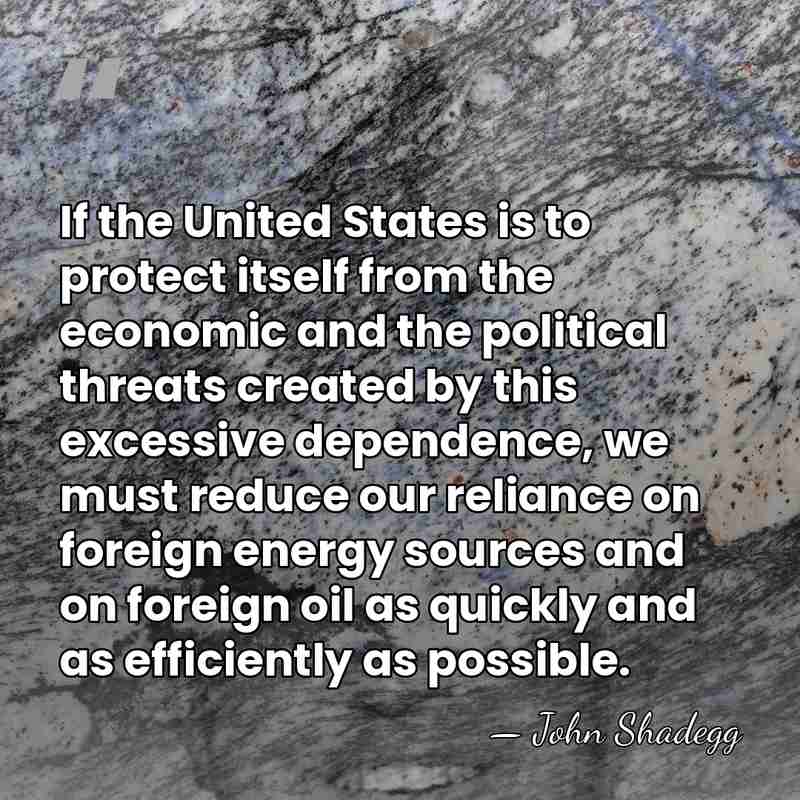 If the United States is to protect itself from the economic and&hellip; - John Shadegg