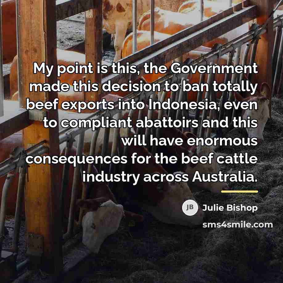 “My point is this, the Government made this decision to…” quote by Julie Bishop