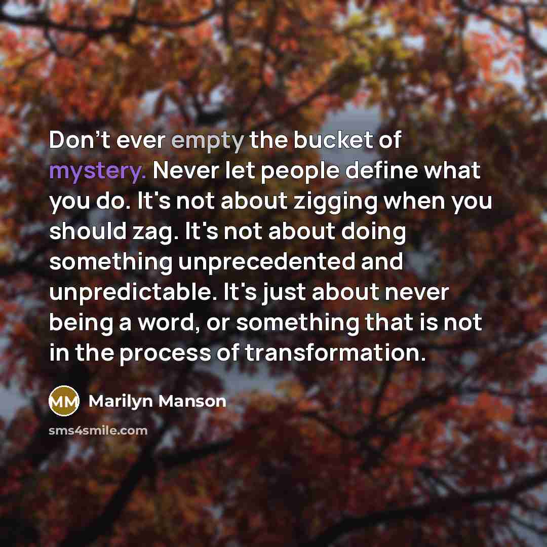 “Don't ever empty the bucket of mystery. Never let people…” quote by Marilyn Manson