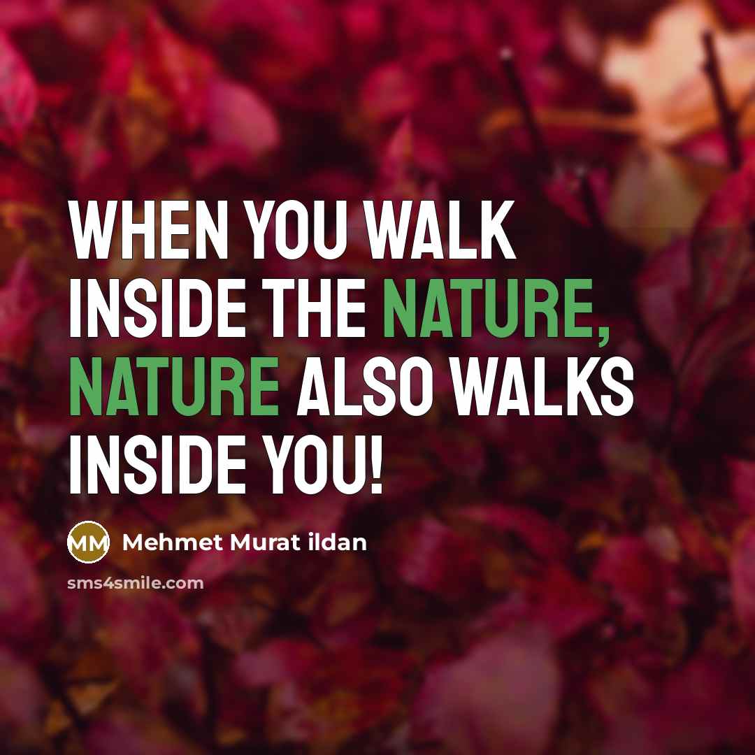 “When you walk inside the nature, nature also walks inside…” quote by Mehmet Murat Ildan