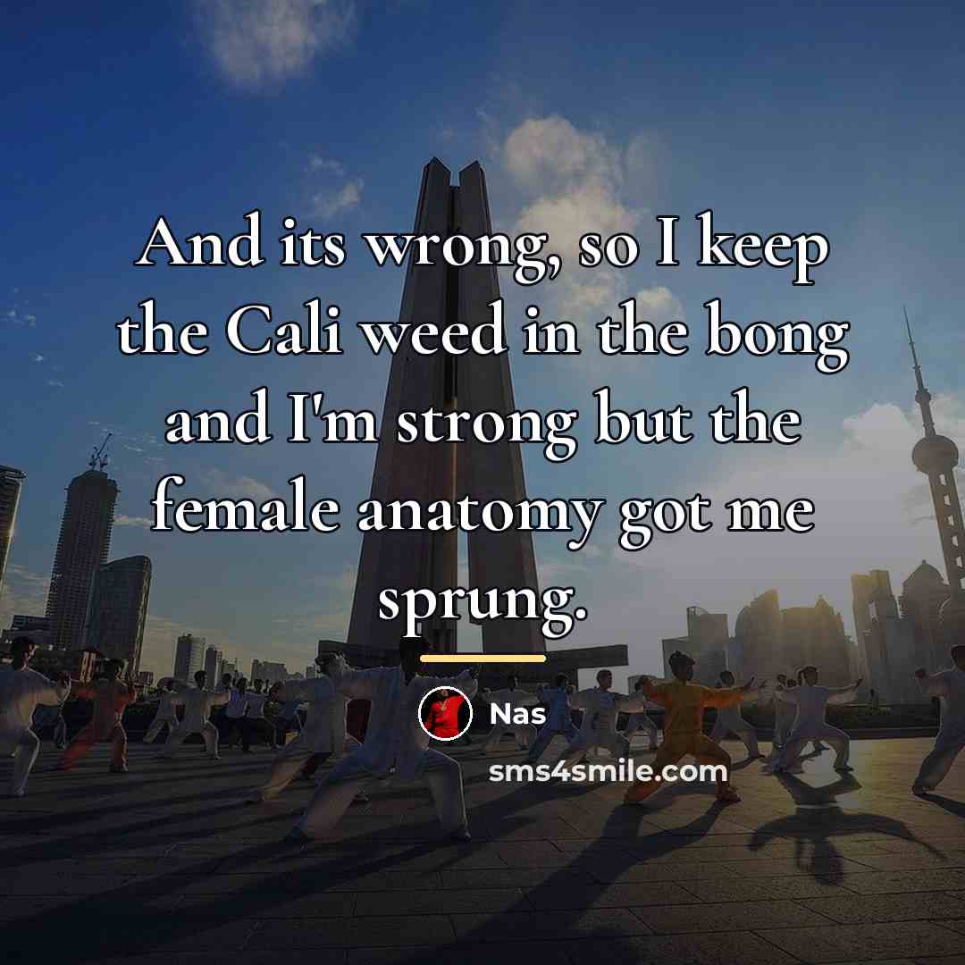 “And its wrong, so I keep the Cali weed in…” quote by Nas