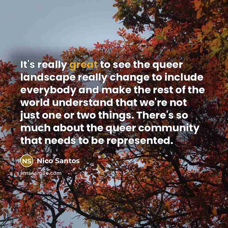 “It's really great to see the queer landscape really change…” quote by Nico Santos