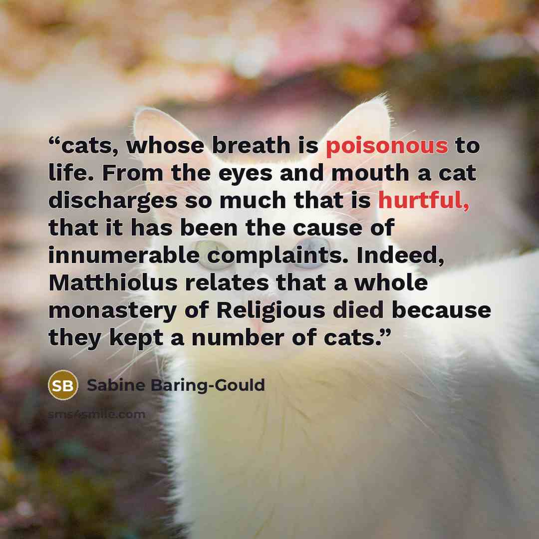 “cats, whose breath is poisonous to life. From the eyes and mouth a cat discharges so much that is hurtful, that it has been the cause of innumerable complaints. Indeed, Matthiolus relates that a whole monastery of Religious died because they kept a number of cats.” quote by Sabine Baring-Gould