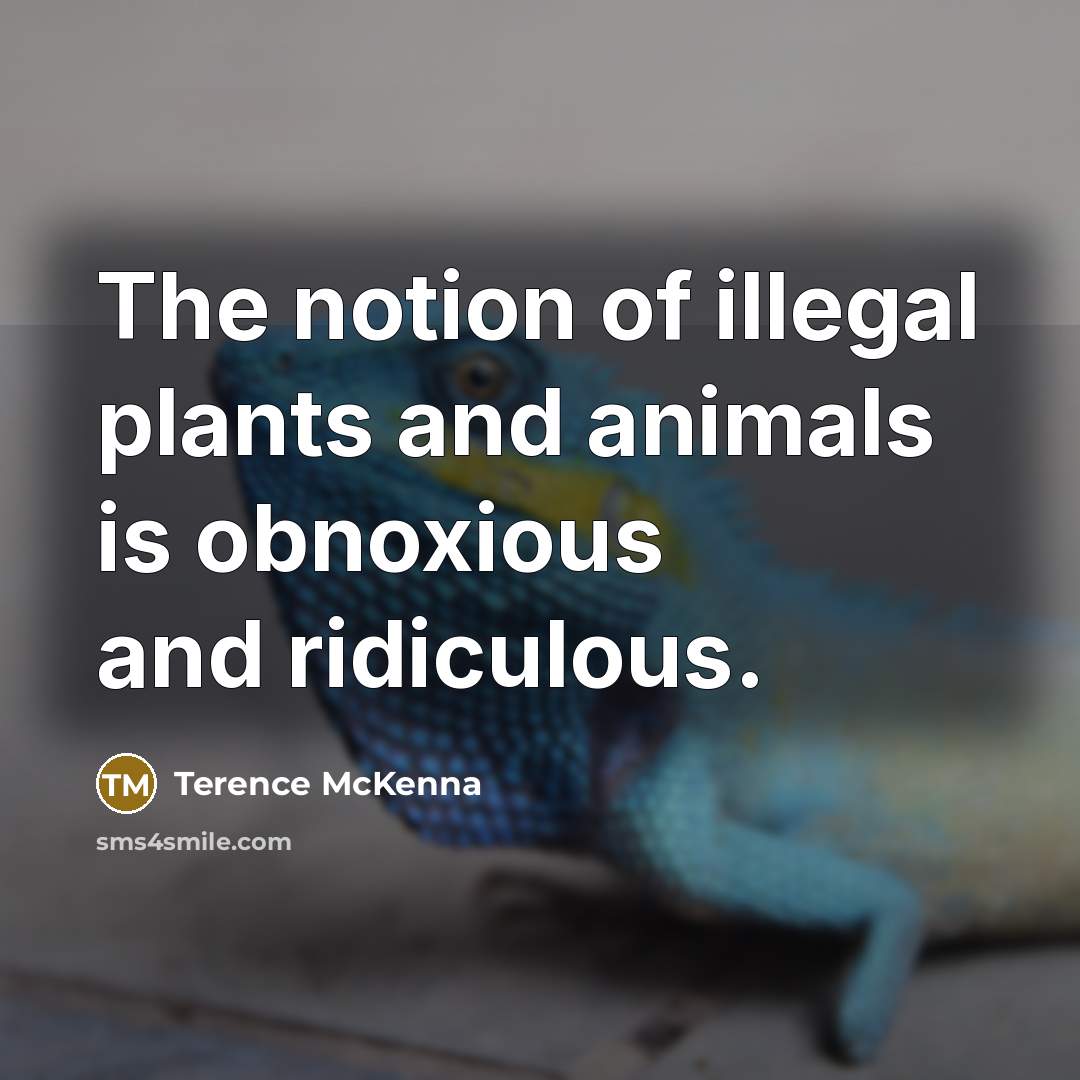 “The notion of illegal plants and animals is obnoxious and…” quote by Terence McKenna