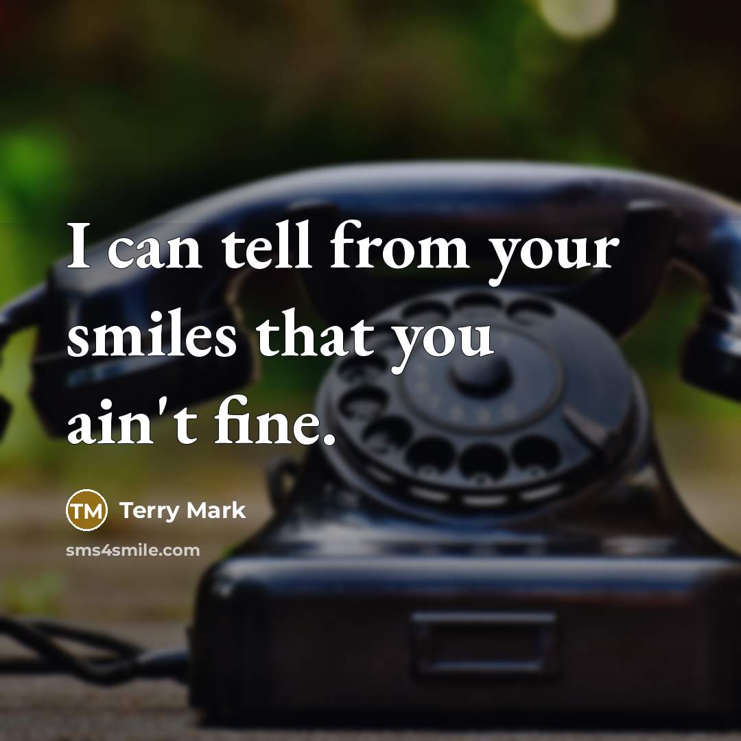 “I can tell from your smiles that you ain't fine.…” quote by Terry Mark