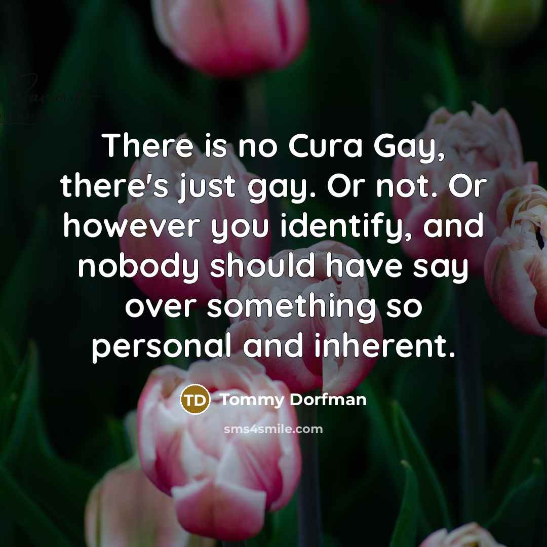 “There is no Cura Gay, there's just gay. Or not.…” quote by Tommy Dorfman