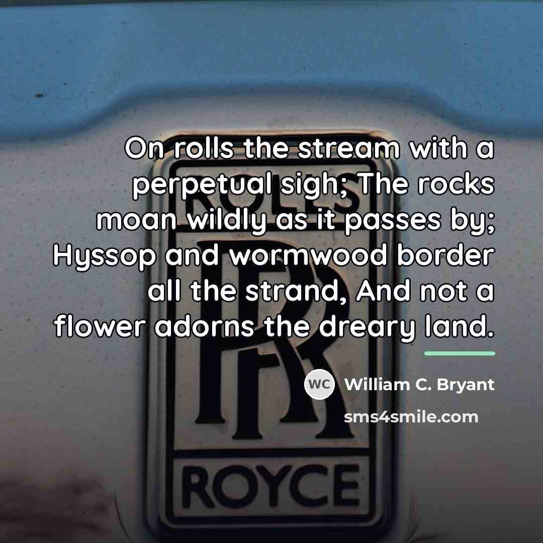 “On rolls the stream with a perpetual sigh; The rocks…” quote by William C. Bryant