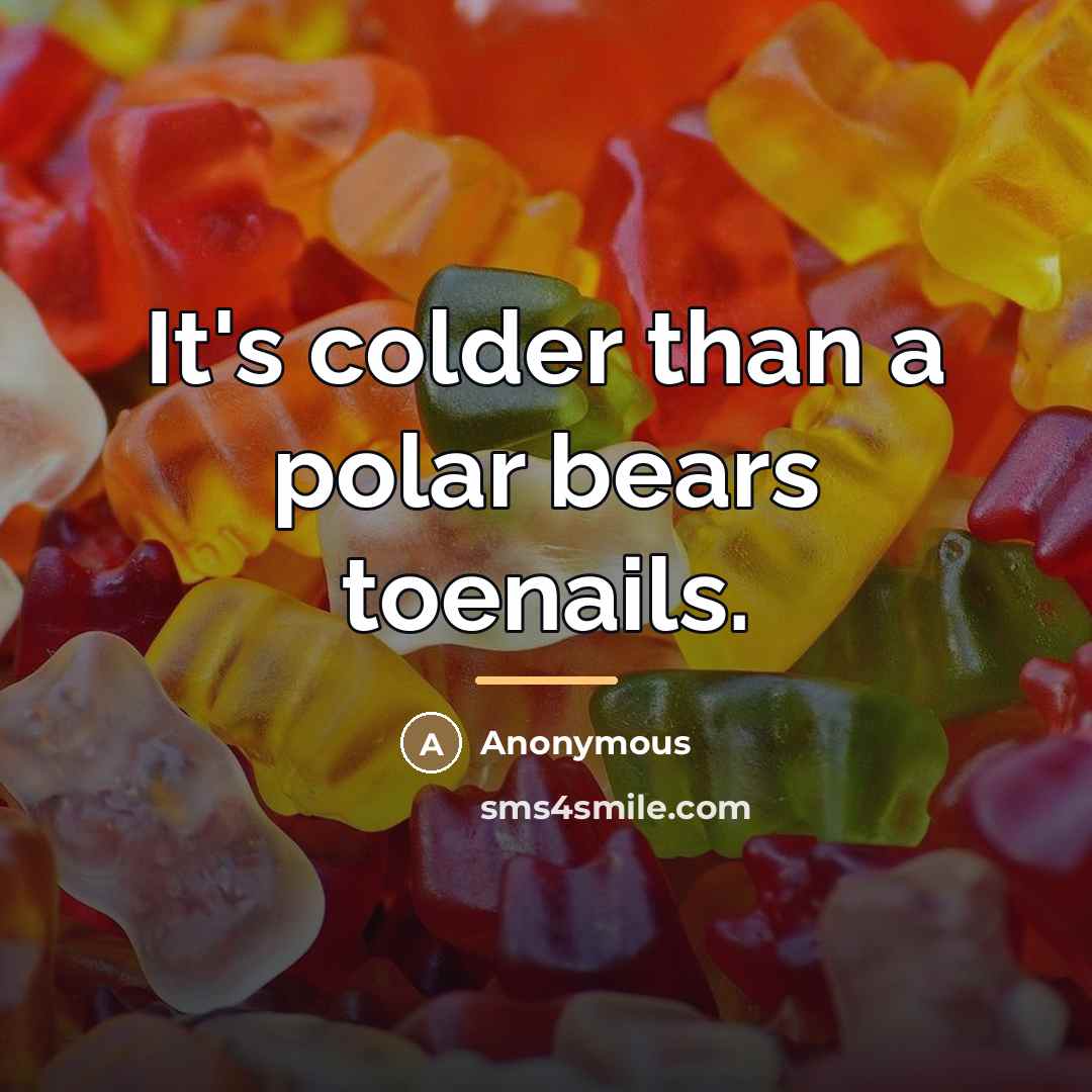 “It's colder than a polar bears toenails.…” quote by Anonymous