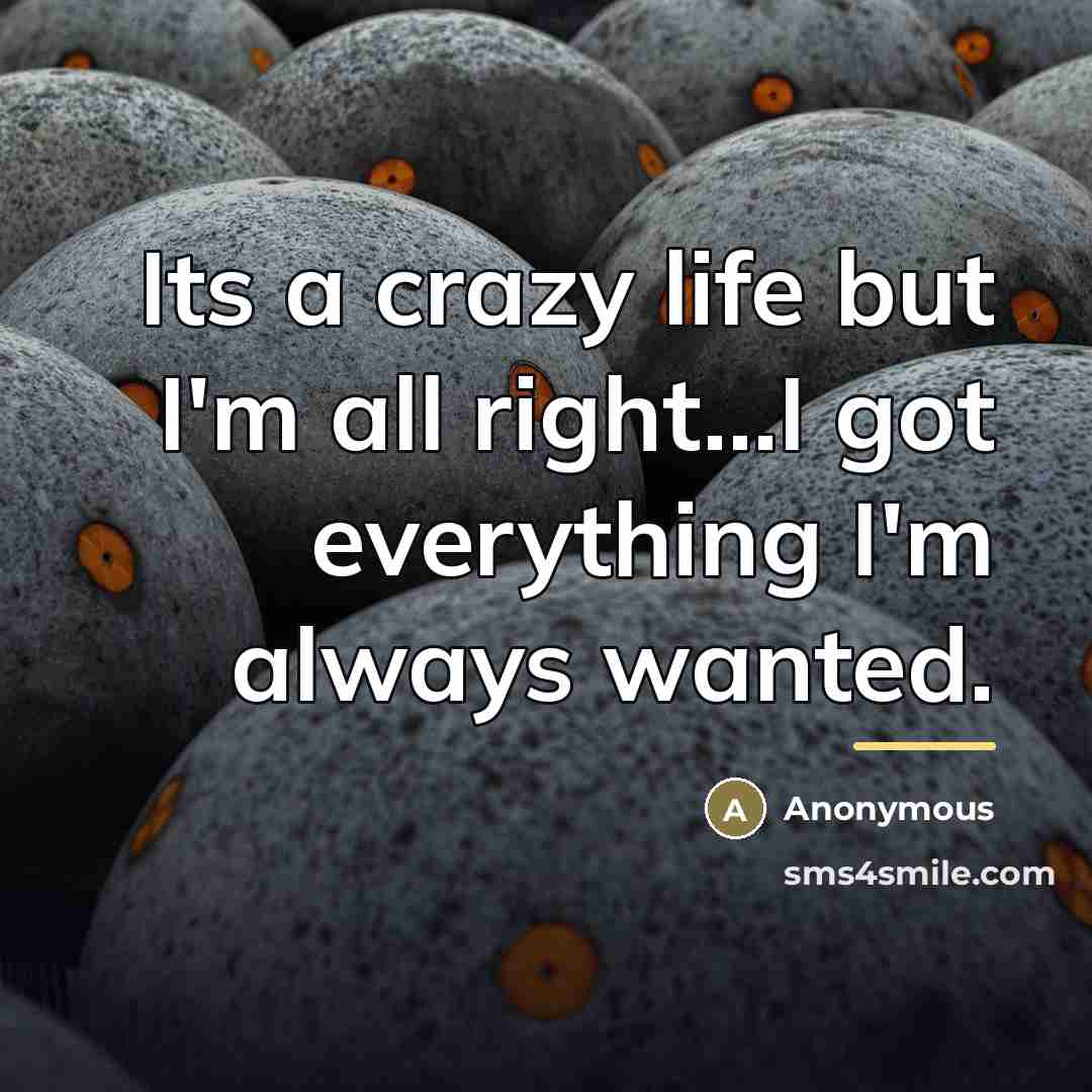 “Its a crazy life but I'm all right...I got everything…” quote by Anonymous