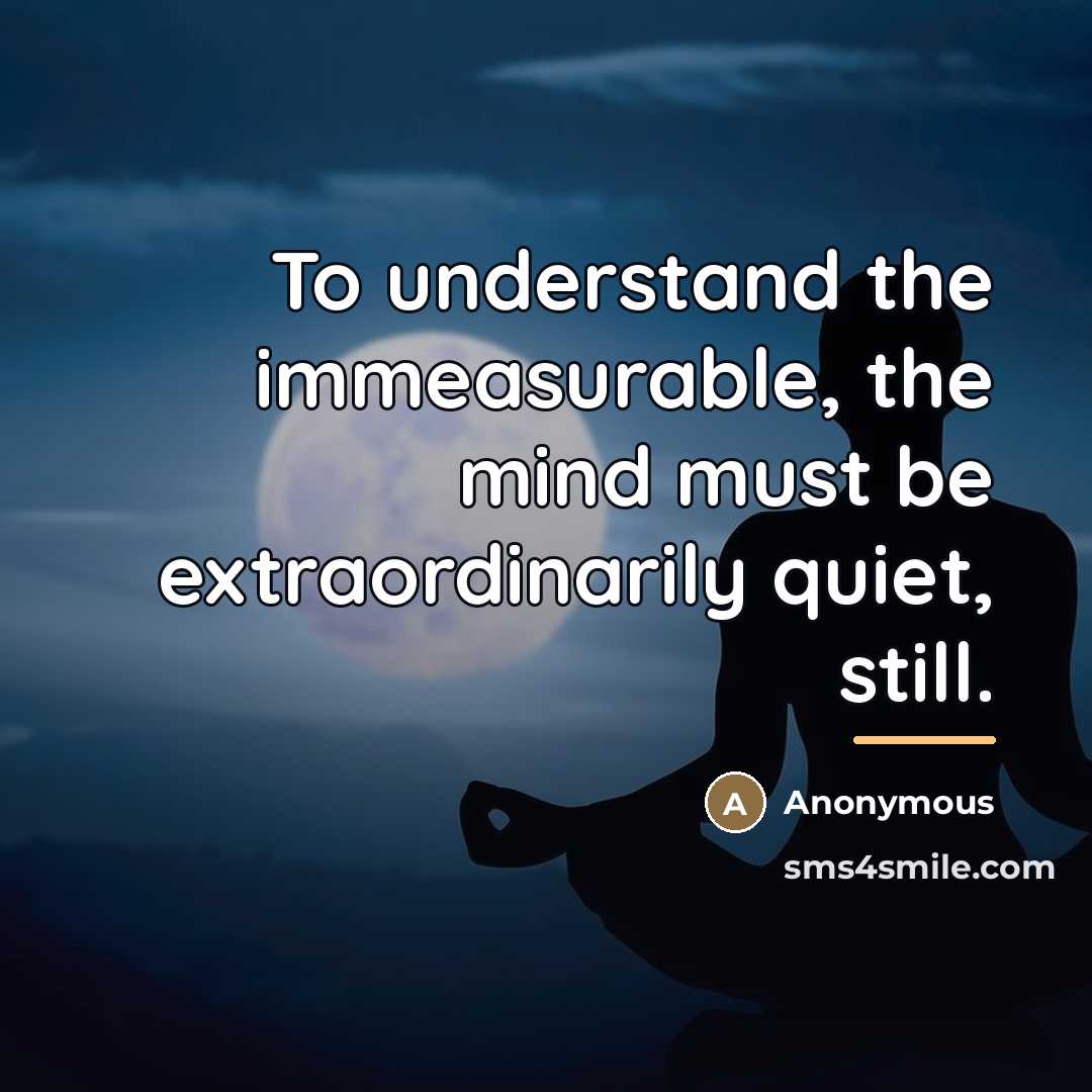 “To understand the immeasurable, the mind must be extraordinarily quiet,…” quote by Anonymous