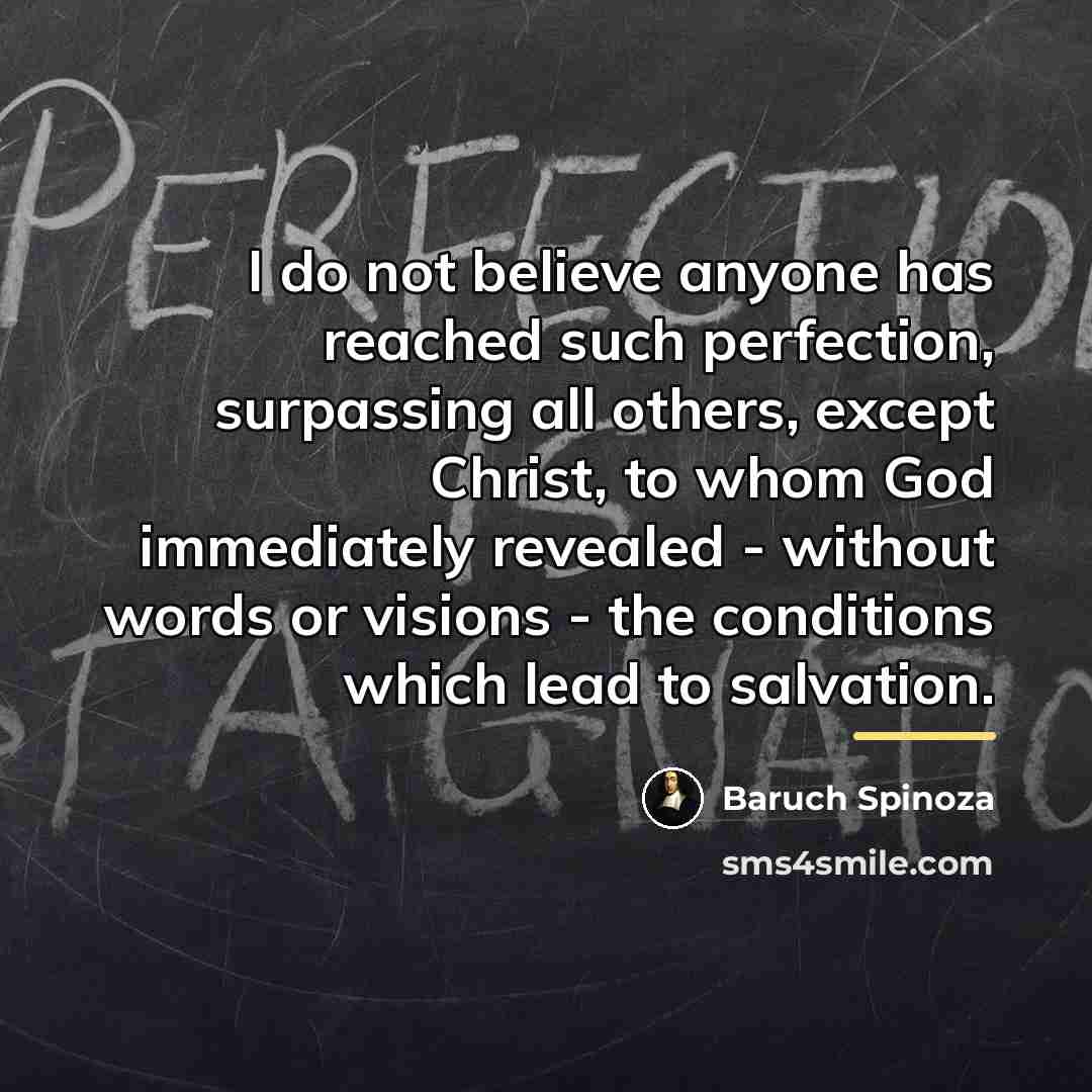 “I do not believe anyone has reached such perfection, surpassing…” quote by Baruch Spinoza