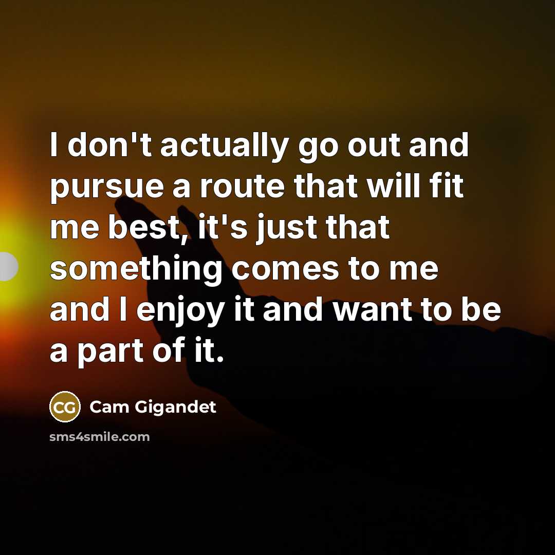 “I don't actually go out and pursue a route that…” quote by Cam Gigandet