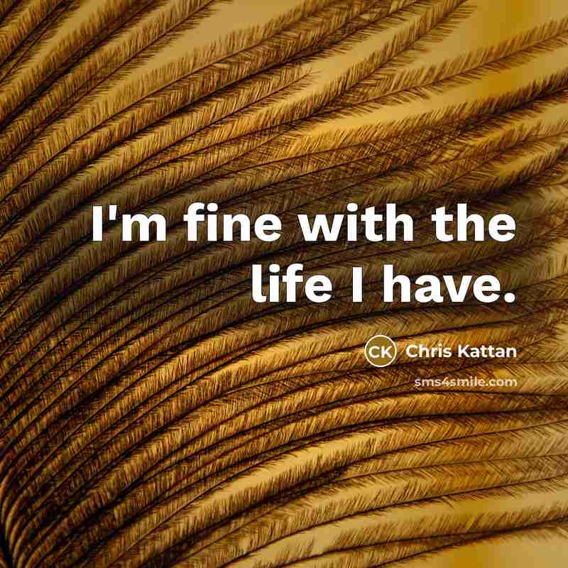 “I'm fine with the life I have.…” quote by Chris Kattan