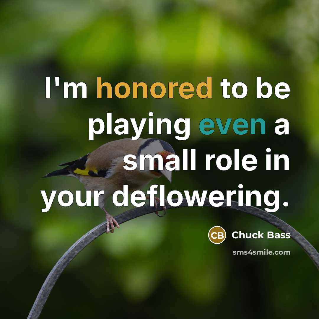 “I'm honored to be playing even a small role in your deflowering.” quote by Chuck Bass