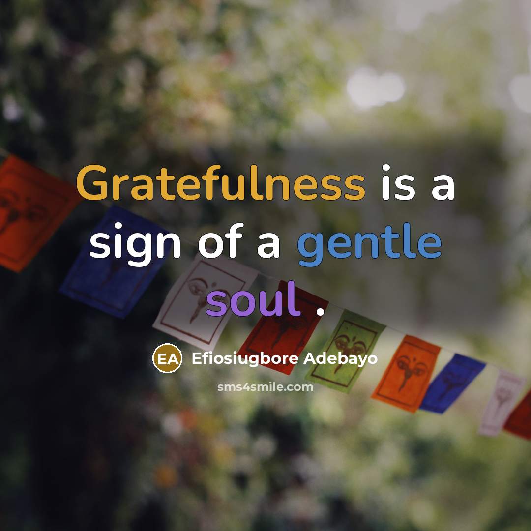 “Gratefulness is a sign of a gentle soul .” quote by Efiosiugbore Adebayo