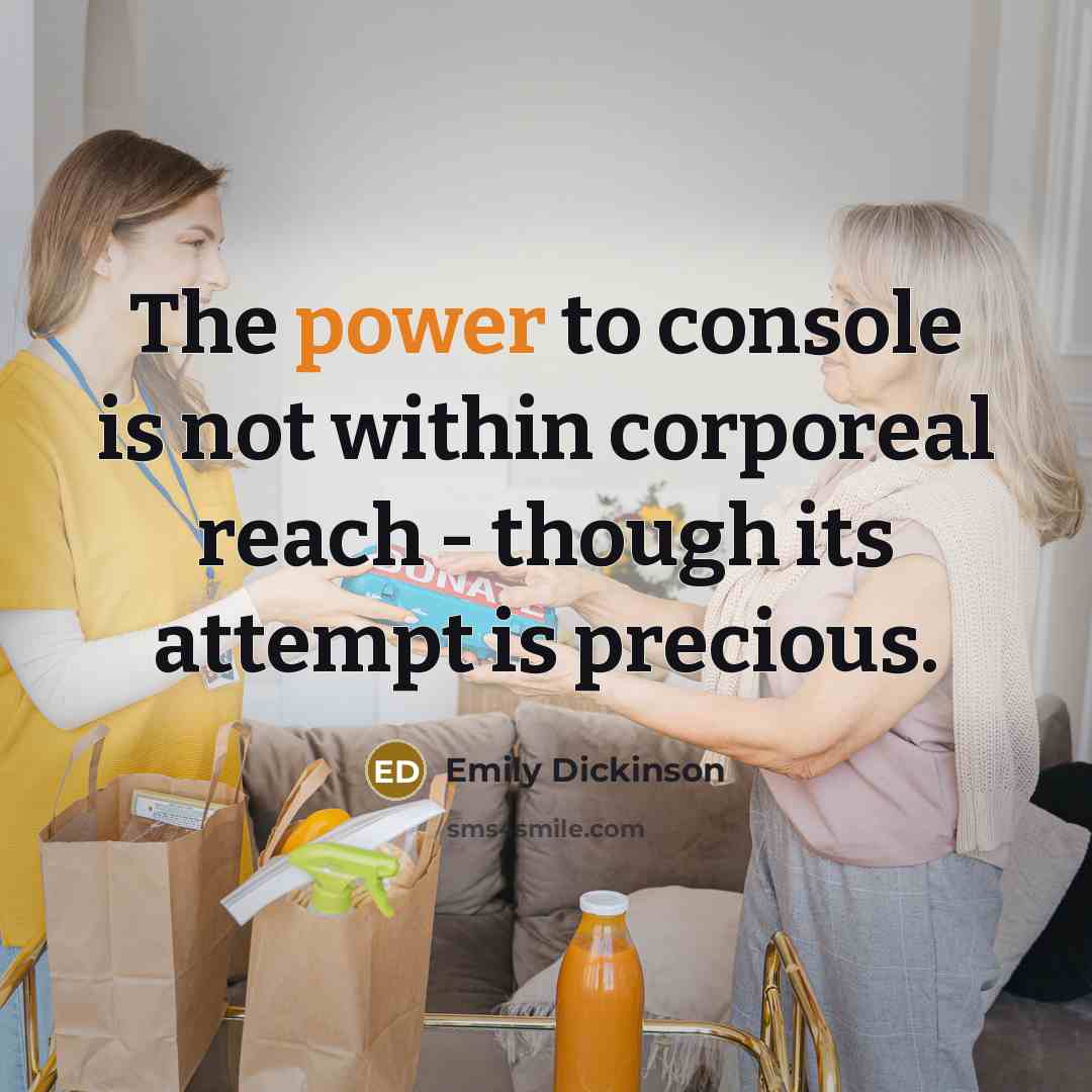 “The power to console is not within corporeal reach -…” quote by Emily Dickinson