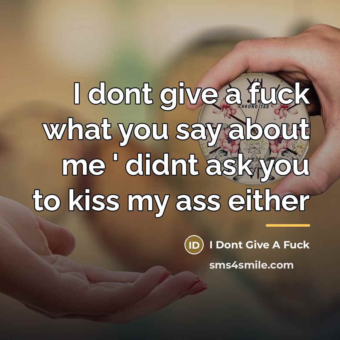 “I dont give a fuck what you say about me…” quote by I Dont Give A Fuck