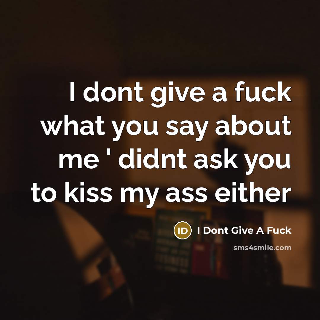 “I dont give a fuck what you say about me ' didnt ask you to kiss my ass either” quote by I Dont Give A Fuck