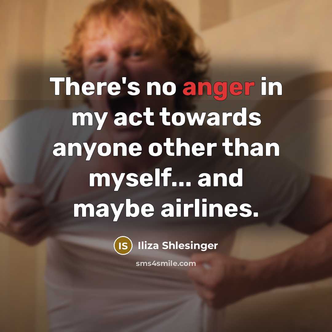 “There's no anger in my act towards anyone other than…” quote by Iliza Shlesinger