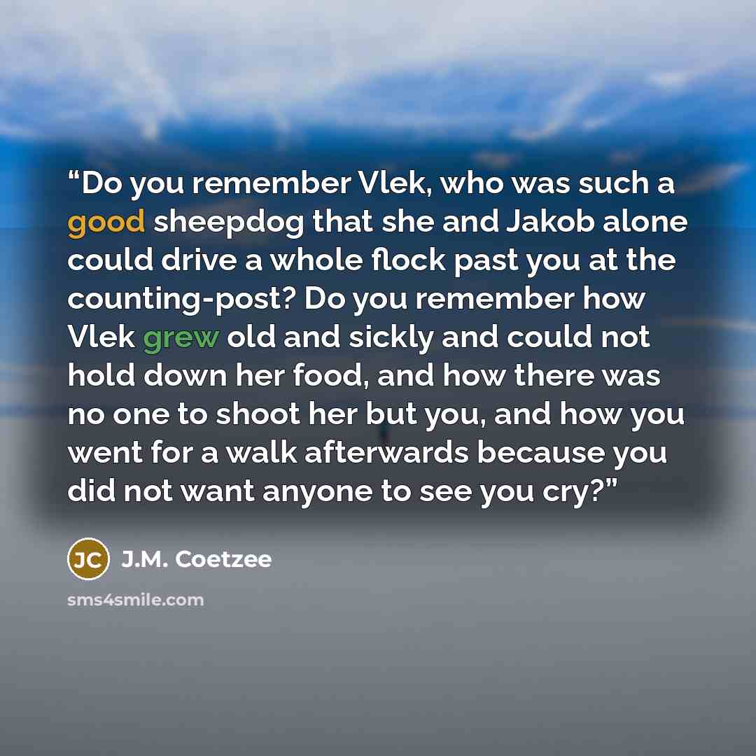 “Do you remember Vlek, who was such a good sheepdog that she and Jakob alone could drive a whole flock past you at the counting-post? Do you remember how Vlek grew old and sickly and could not hold down her food, and how there was no one to shoot her but you, and how you went for a walk afterwards…” quote by J.M. Coetzee