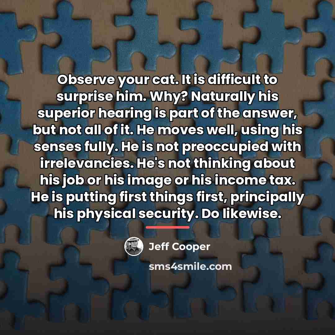 “Observe your cat. It is difficult to surprise him. Why?…” quote by Jeff Cooper