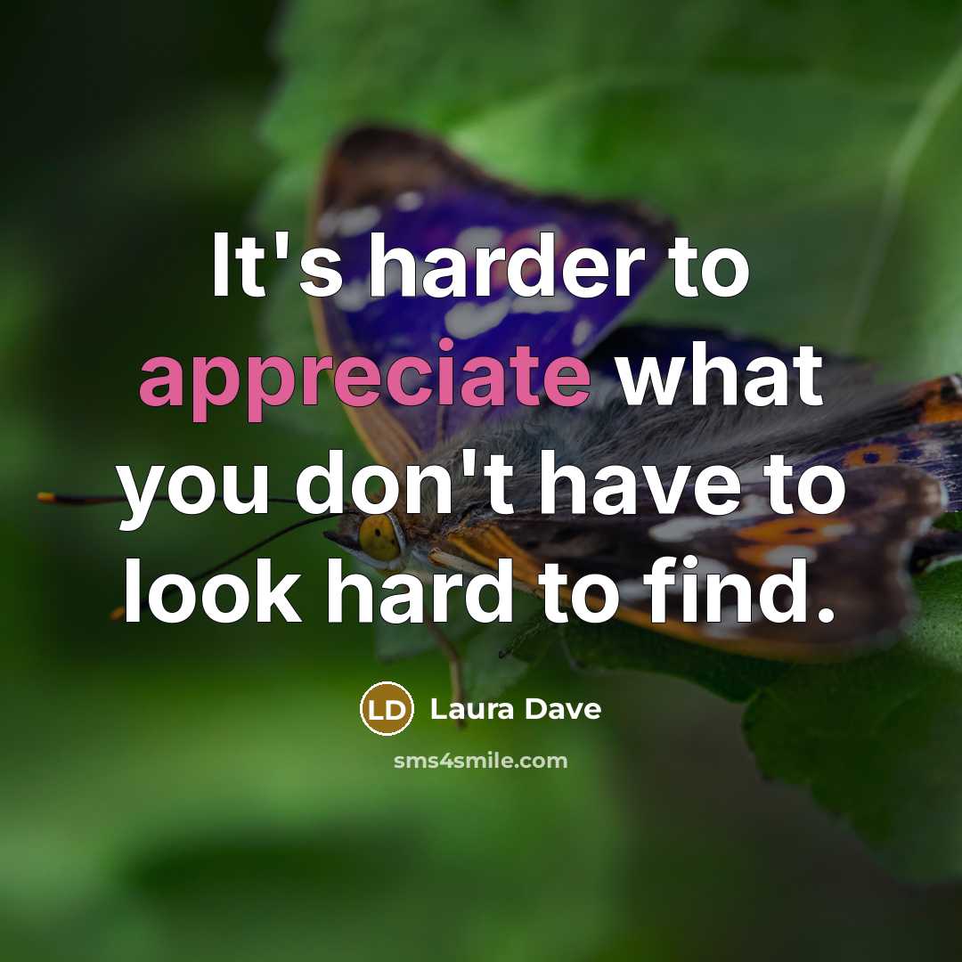 “It's harder to appreciate what you don't have to look…” quote by Laura Dave