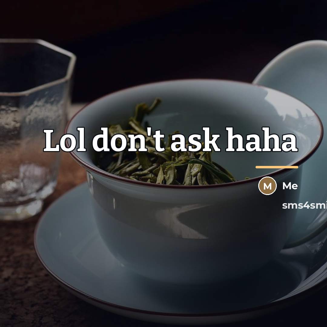 “Lol don't ask haha…” quote by Me