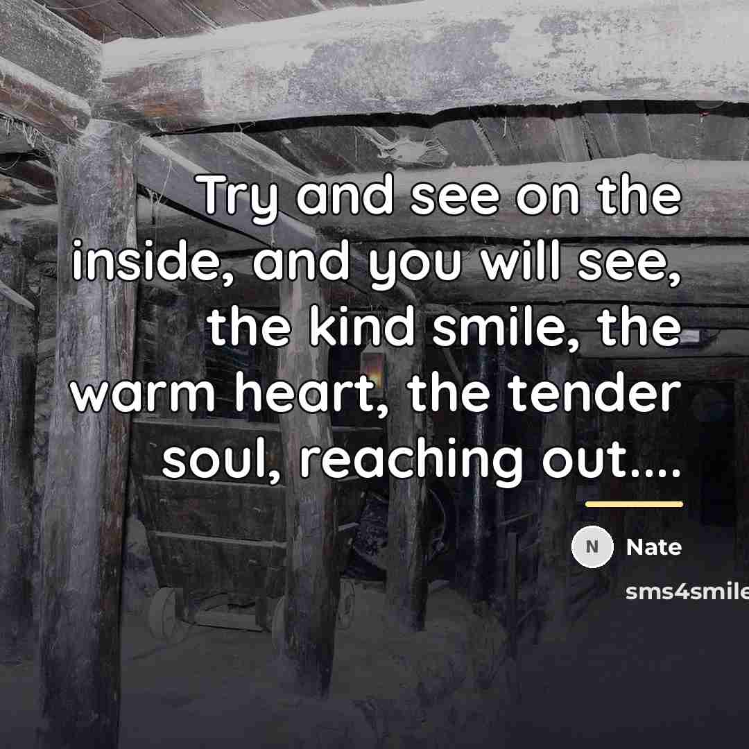 “Try and see on the inside, and you will see,…” quote by Nate